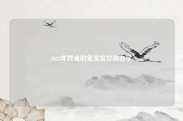 2023年姓金的兔宝宝女孩名字 流年 第1张 2023年姓金的兔宝宝女孩名字 流年 第1张